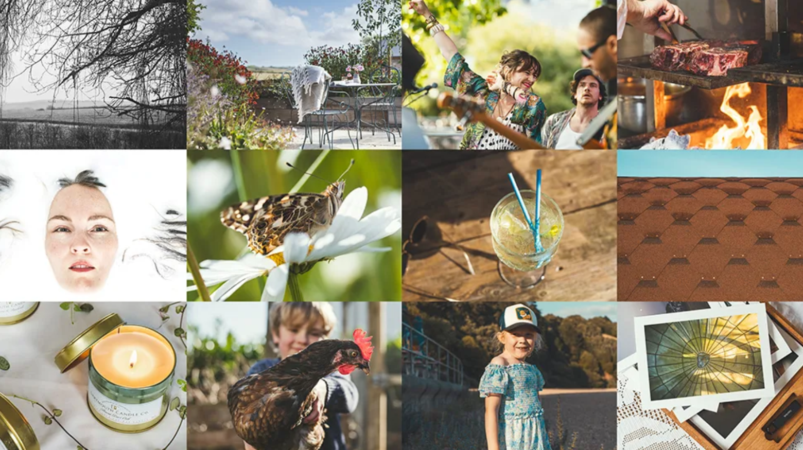 A collage of images. At the center there are images of a glass and an animal on a flower.